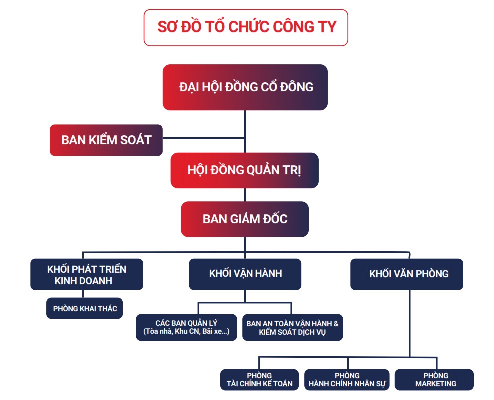 so-do-to-chuc-cong-ty